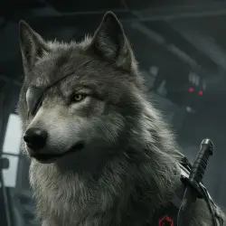 D-Dog