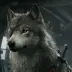 D-Dog