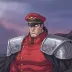 M Bison
