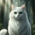 Cloudtail