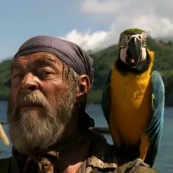 Cottons Parrot