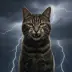 Mudclaw