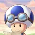 Hint Toad