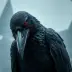 The Raven