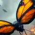Sulfur-Wing