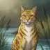 Leopardstar