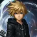 Roxas Organization XIII