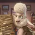 Bellwether