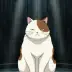 Buyo