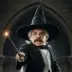 Professor Filius Flitwick