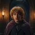 Pippin Took