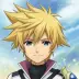 Ventus Sleeping Heart