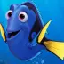 Dory