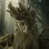 Treebeard