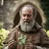 Friar Lawrence