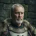 Lord Staunton of Rooks Rest