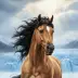 Arion