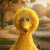Big Bird