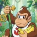 Donkey Kong Jr