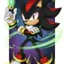 Shadow