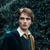 Cedric Diggory