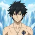 Gray Fullbuster