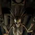 The Needler