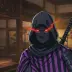 Interior Ministry Ninja Purple