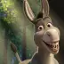 Donkey