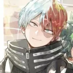 shoto todoroki