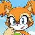 Marine the Raccoon