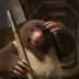 Foremole Diggum