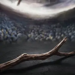 Stick
