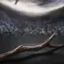 Stick
