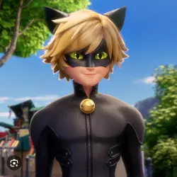 Cat noir