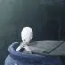 Pot Noble Kormori