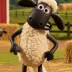 Shaun