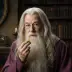 Albus Dumbledore
