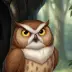Friend Owl