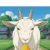 Meis Goat