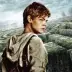 Newt