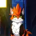 Rooster Cat