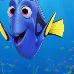 Dory