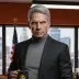 Leroy Jethro Gibbs