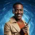 The Fifteenth Doctor