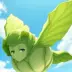 Cabbage