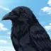 Gashans Crow