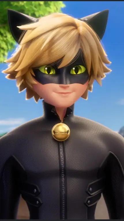 Cat noir