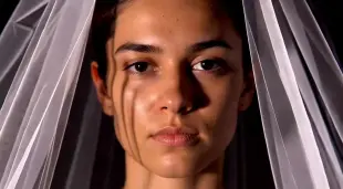 AI Video: Like something hidden within a mysterious shadow or veil.