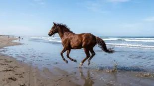 AI Video: horse run on the beach ocean